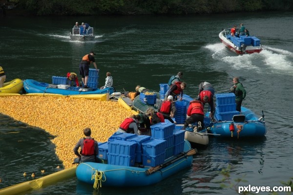 Rubber Duck Roundup 